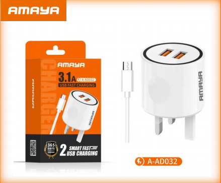 AD032 Fast Charger